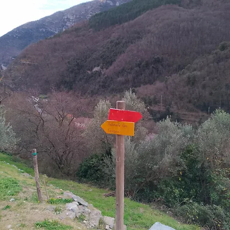 Rossociliegia 3*