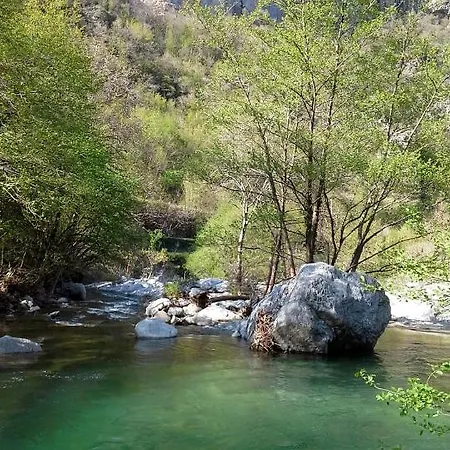 Rossociliegia Colletta