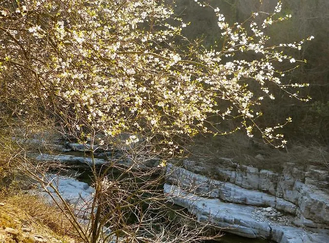 Bed and Breakfast Rossociliegia Colletta