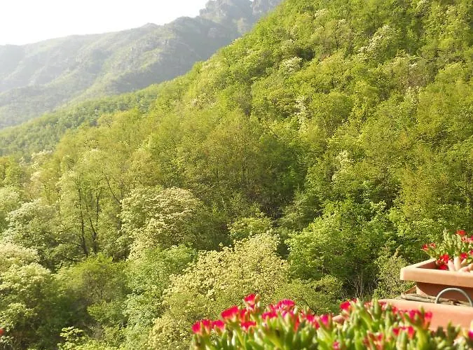 Rossociliegia Colletta