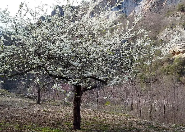 Bed and Breakfast Rossociliegia