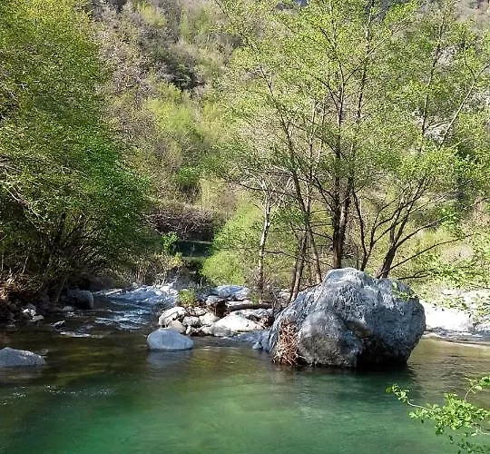 Rossociliegia Colletta