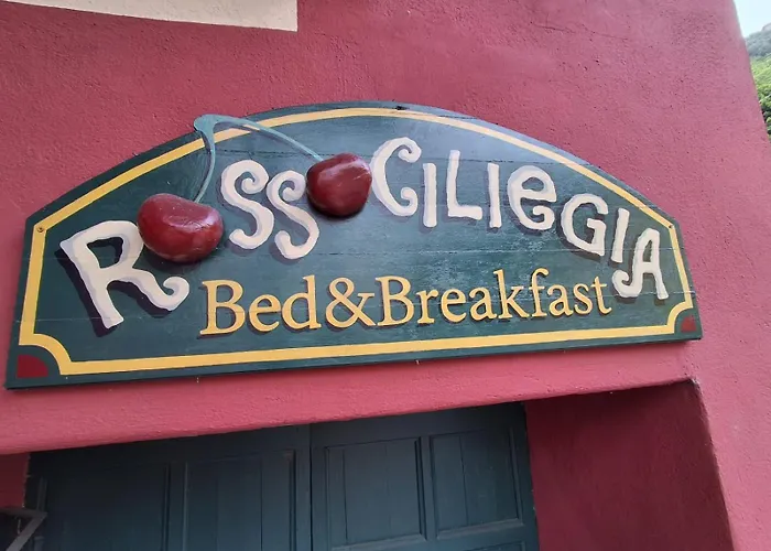 Rossociliegia 3* Colletta