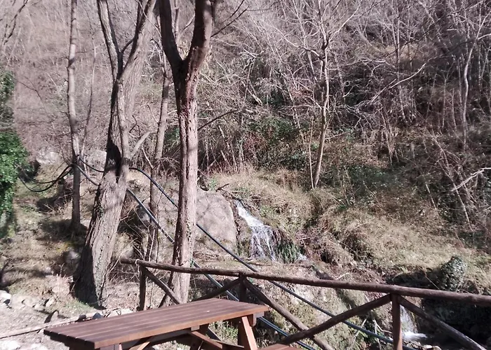 Rossociliegia Colletta